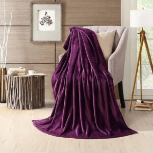 Luxury Ac Blanket Purple